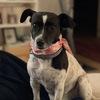 Emilie review