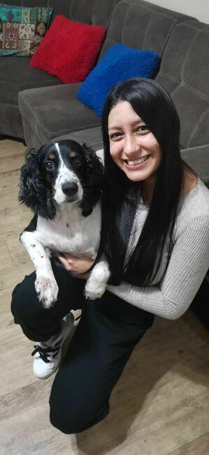 Sarita avatar