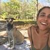 Sofía: Paseadora excepcional de mascotas 