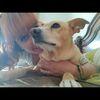 Ana: El amor animal es el más grande