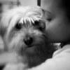 CHIWI avatar