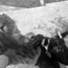 Carla : Una joven amante de los perros 