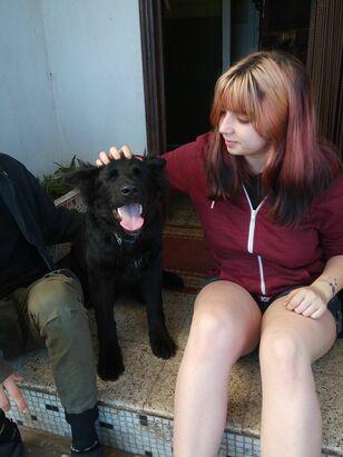 Ana avatar