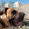 Antonio Alberto 's review