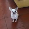 Jose luis 's review