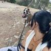 Judith: 🐶Liebe zu den Tieren🦋