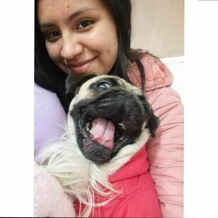 Deysi avatar