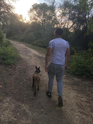 tyson en el bosque