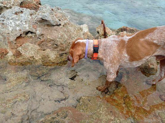 En Menorca pescando