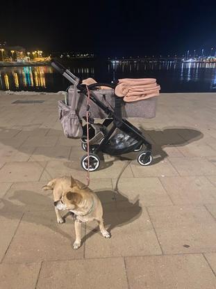 Paseos largos nocturnos💪🏽