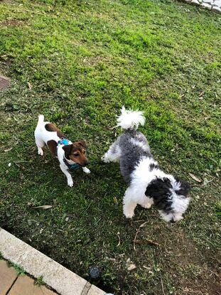 Cora y Camila paseando