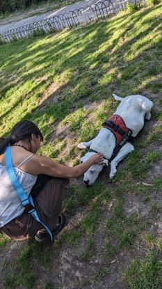 Una perrita que estaba en un parque, nos acercamos a acariciarle, parecía que se sentía triste.