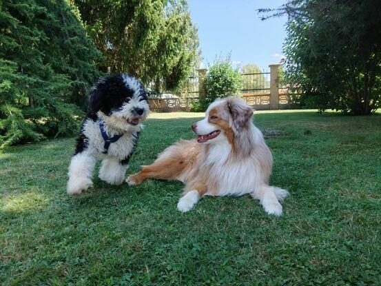 Maya y Guille