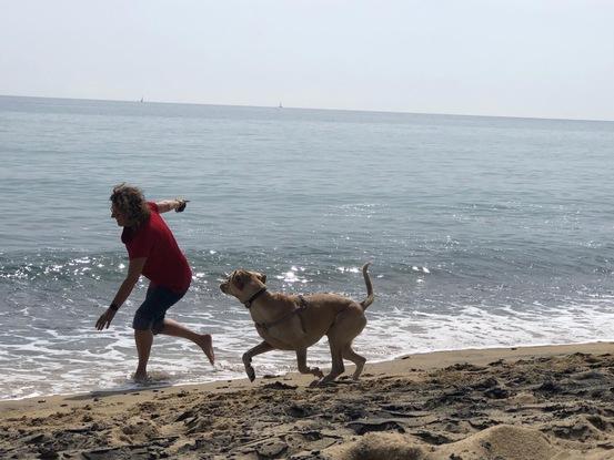 Cuidando a Luna mentrias su mama esta enferma. Hemos jugado a la pelota y hecho un camino de ronda