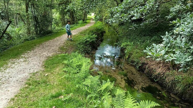 Alrededores de Brandia para caminar