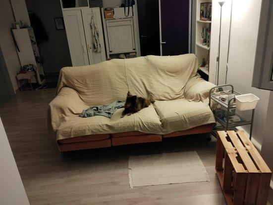 El sofá de Janis