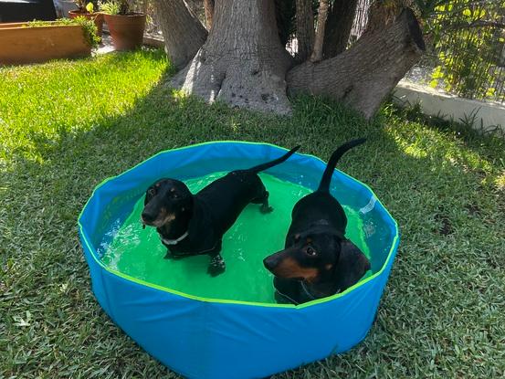 Bañito para el calor con Xavi