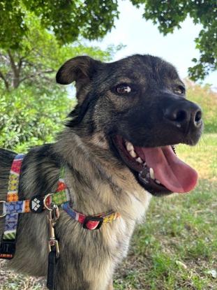 Sonrisa en el parque