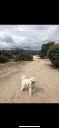 El campo enfrente de mi casa