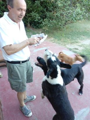 El abuelo nos trae el almuerzo