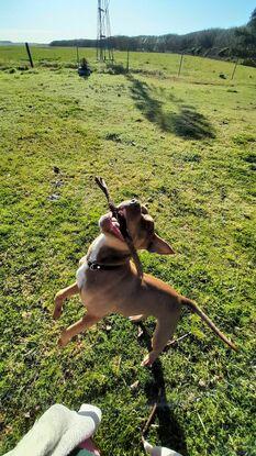 Jugando en el parque