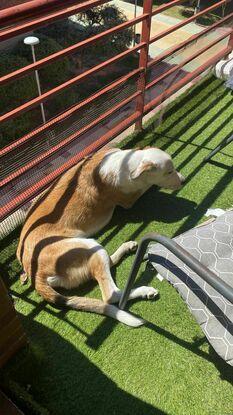 Zeus relajado