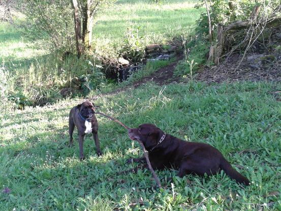 Parque Mesoiro