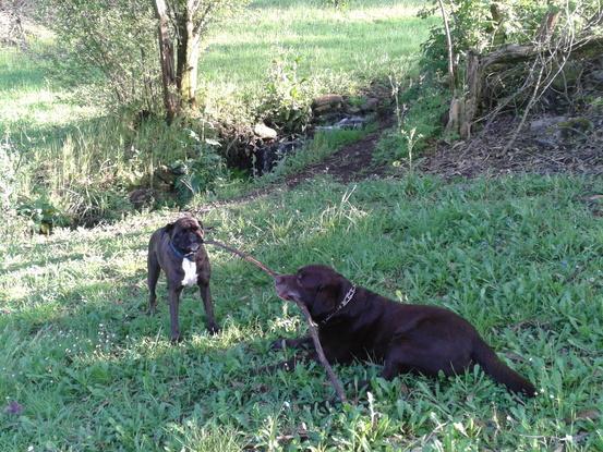 Parque Mesoiro