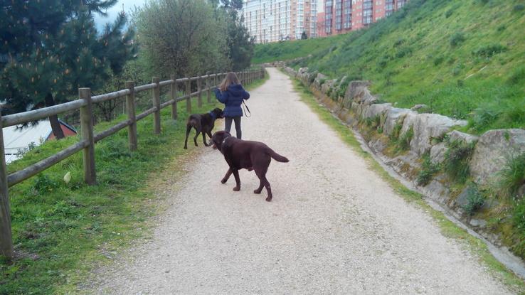 Caminos de paseo