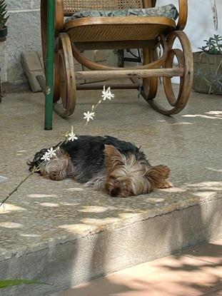 Durmiendo en el pueblo