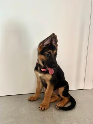 KIRA