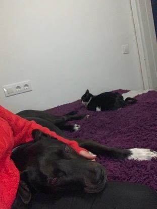 Relajándose 😴