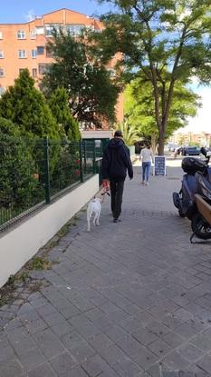 Marc paseando a Ginebra