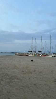 area de paseo