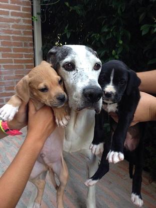 Abuelo con Quila y Axel