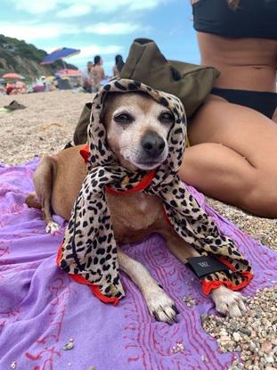Aretha la mejor. Tan sofisticada en Sant Pol