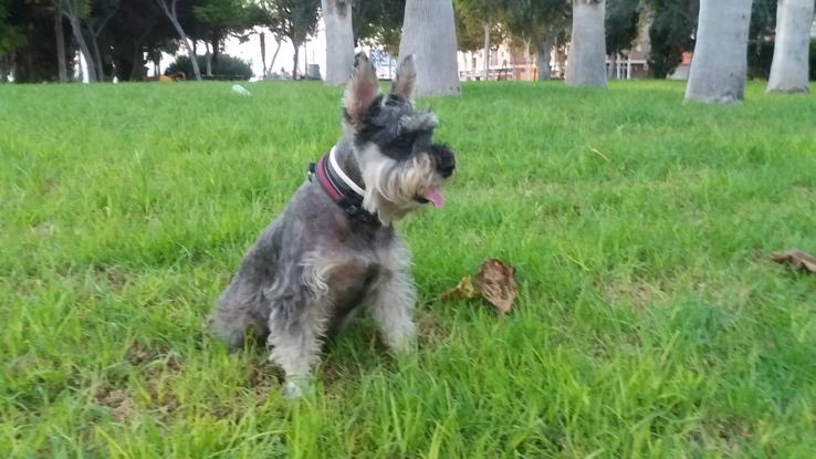 Beca, la anfitriona de la casa... 