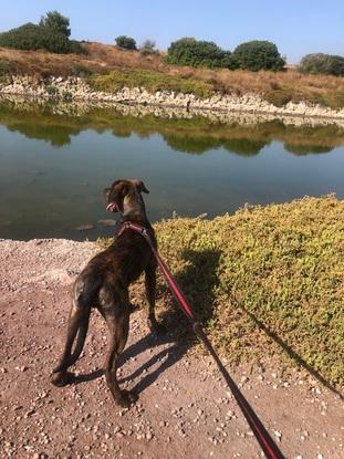 Paseo por el río Guadalhorce!