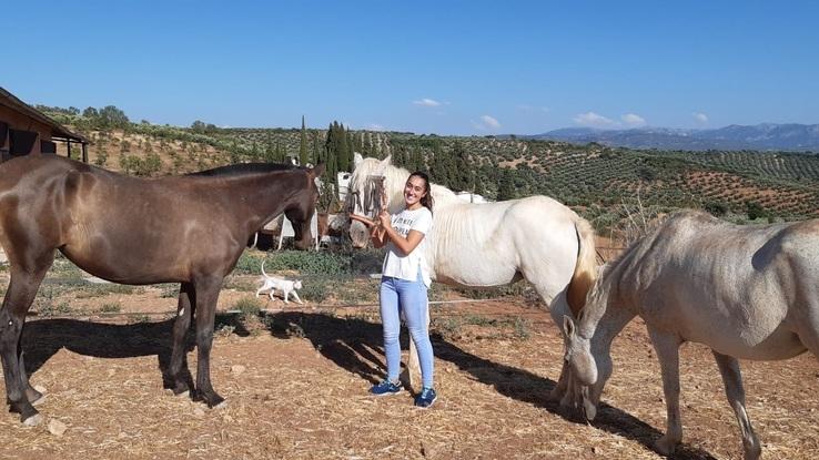 Con los demás caballos de la familia❤️