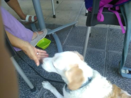 Daddy, tomando algo.