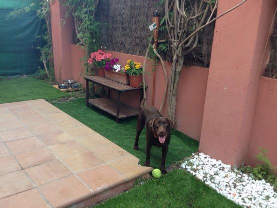 Jugando con la pelota en mi jardín