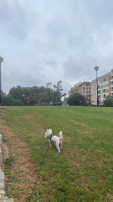 Paseando por el parque
