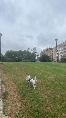 Pasensdo por el parque