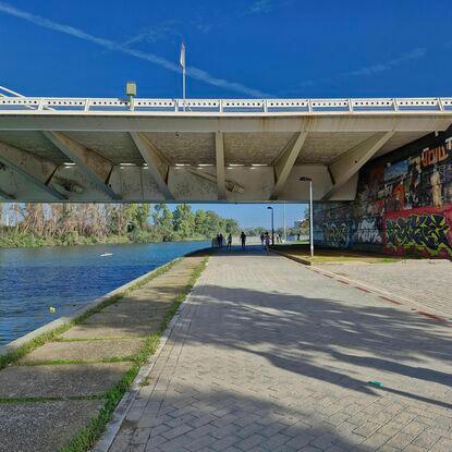 Paseos por el río