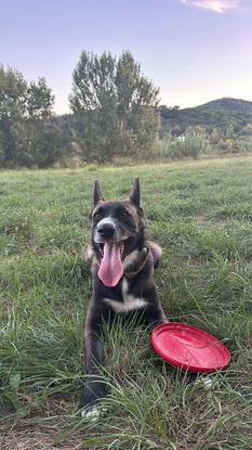 Campo donde salir a pasear cerca de casa