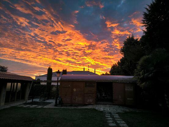 Jardín de mi casa