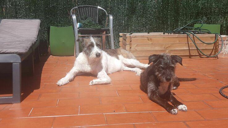 Kimba y trufa al solipandi  en la terraza