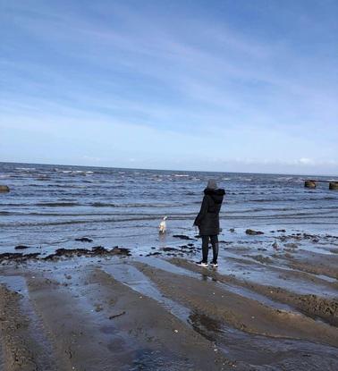 Un paseo por la playa con mi antiguo perro, Dino