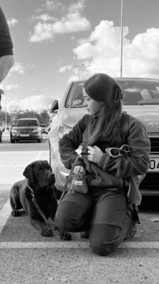 Formación perros de asistencia