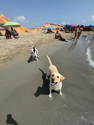 Playita vacaciones